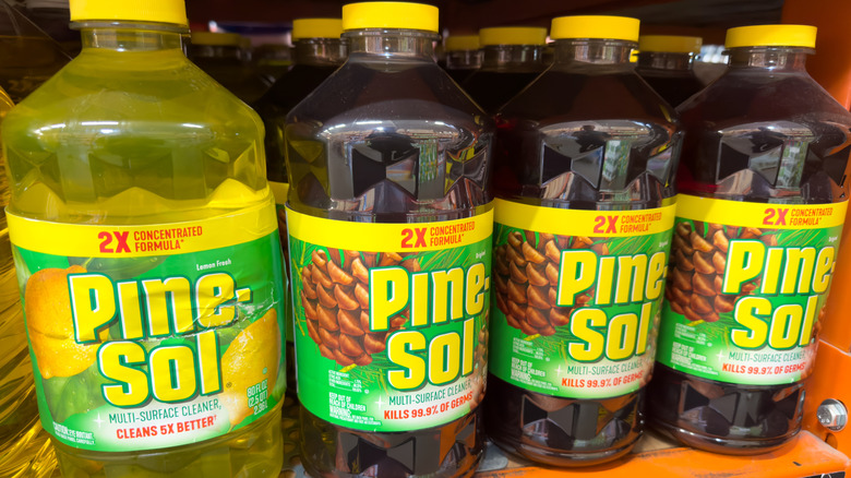Row of Pine-Sol Multi-Surface Cleaner in the 2x Concentrated formula version on a shelf
