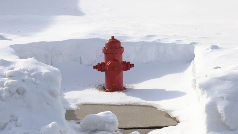 Snow cleared from around a fire hydrant