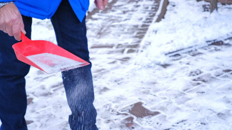 A person applies ice-melt salt to their recently shoveled driveway.