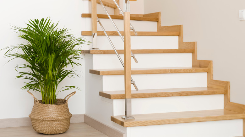 Wooden staircase