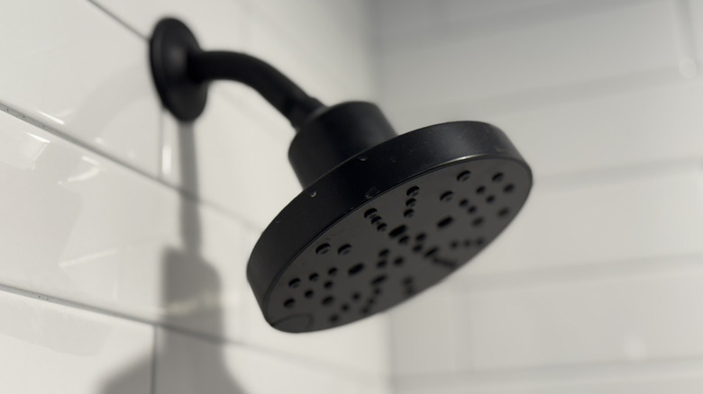 A clean, black shower head on white tile inside a shower.