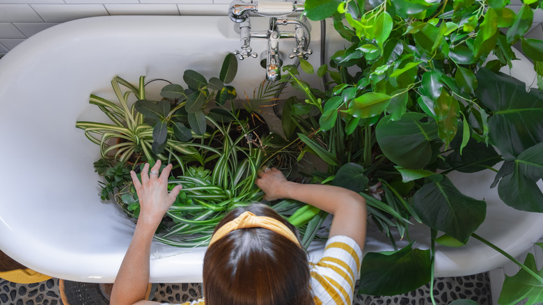 Woman putting plants in tub