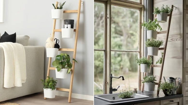 Split image showing the SATSUMAS plant stand in the lounge next to a sofa on the left and sitting on a bench in front of a window while attached to a wall in the kitchen on the right