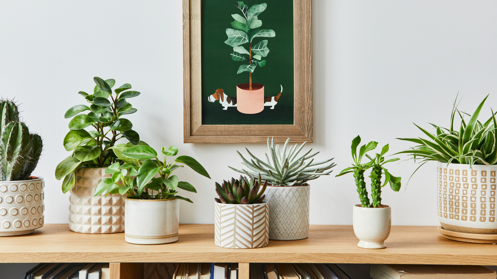 Sick Of Dirt-Covered Shelves? Try A Stylish Plant Storage Solution From IKEA