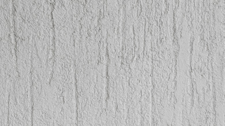 Closeup of neat lines of tree bark pattern