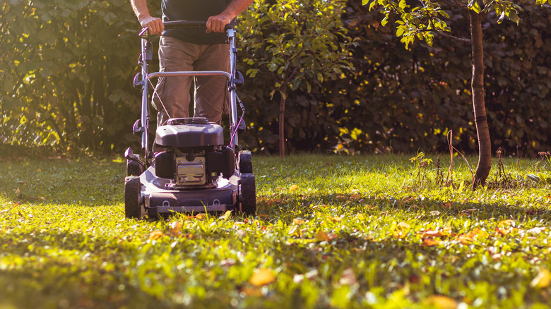 A person mowing with a mulching mower