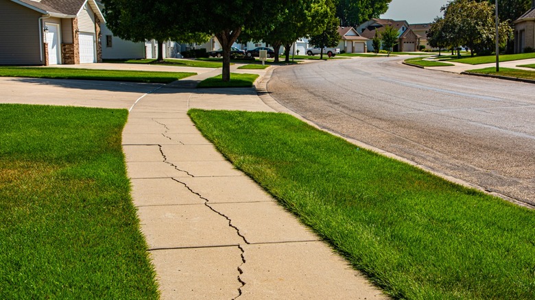 Severely cracked sidewalk in front of house in suburban neighborhood
