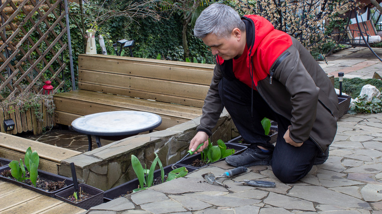 A man digs at the soil in garden beds bordering a sunken outdoor entertainment area.