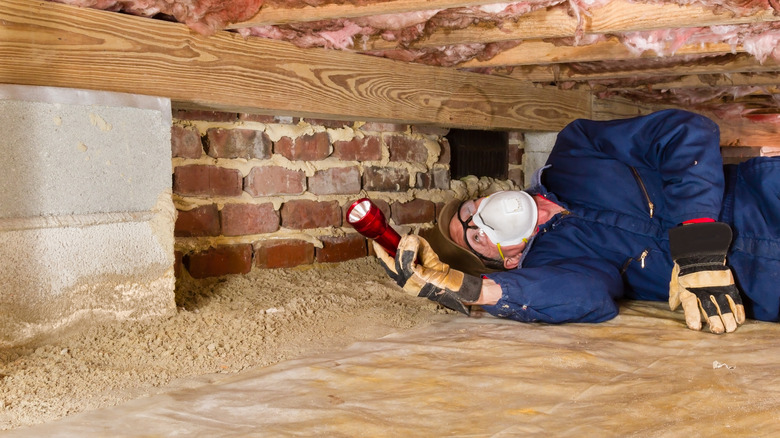 inspector looking for termites