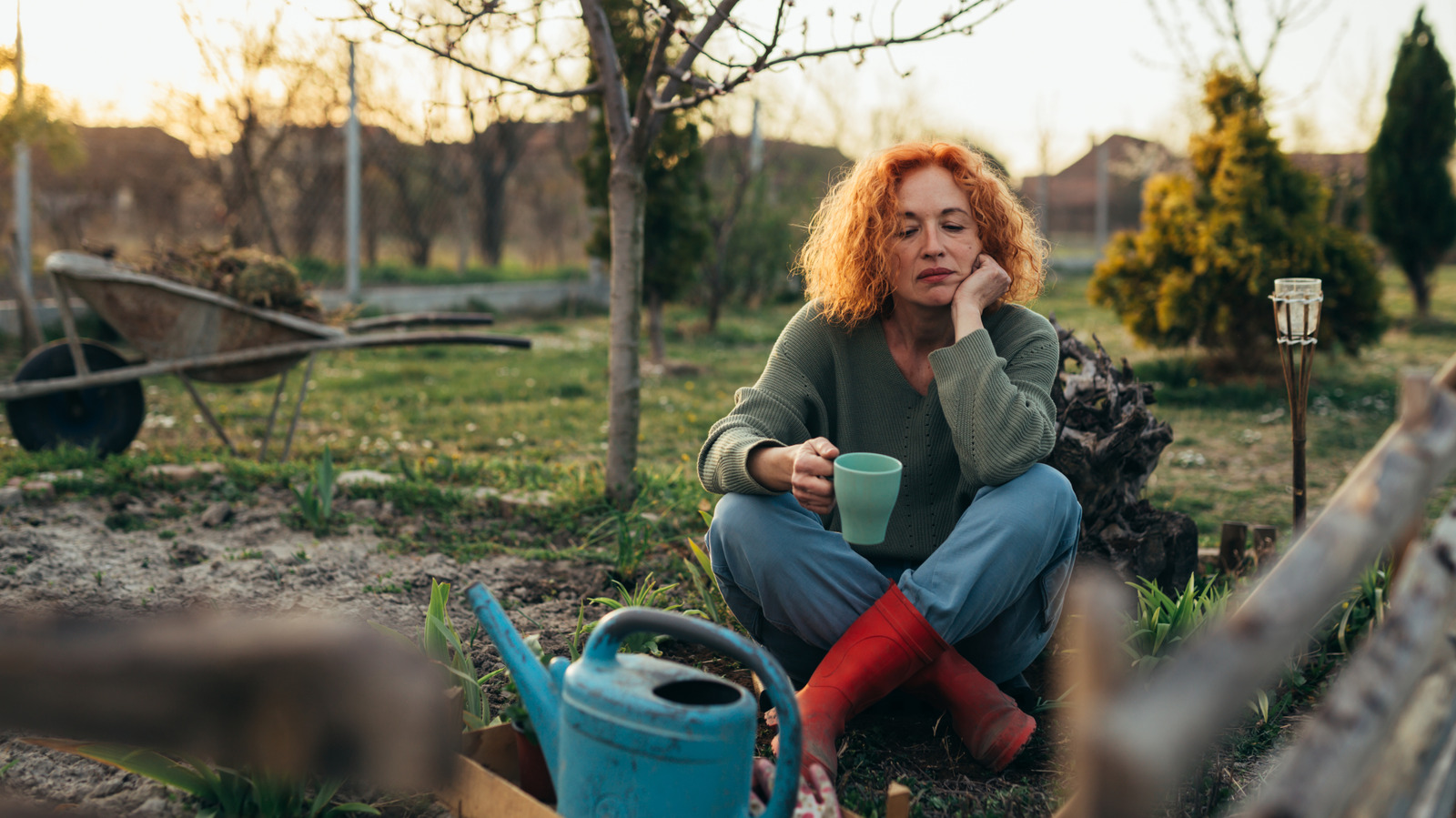 Signs That It's Unfortunately Time To Start Over On Your Garden