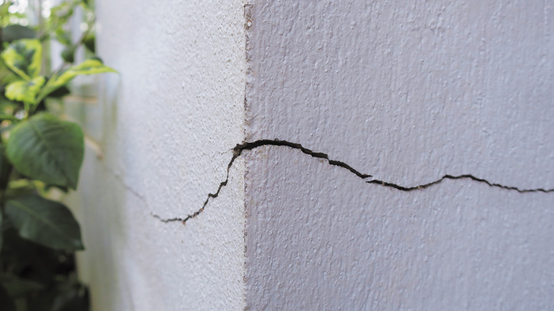 Crack in house foundation