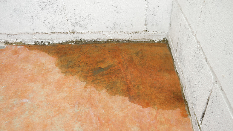 Wet basement floor and wall