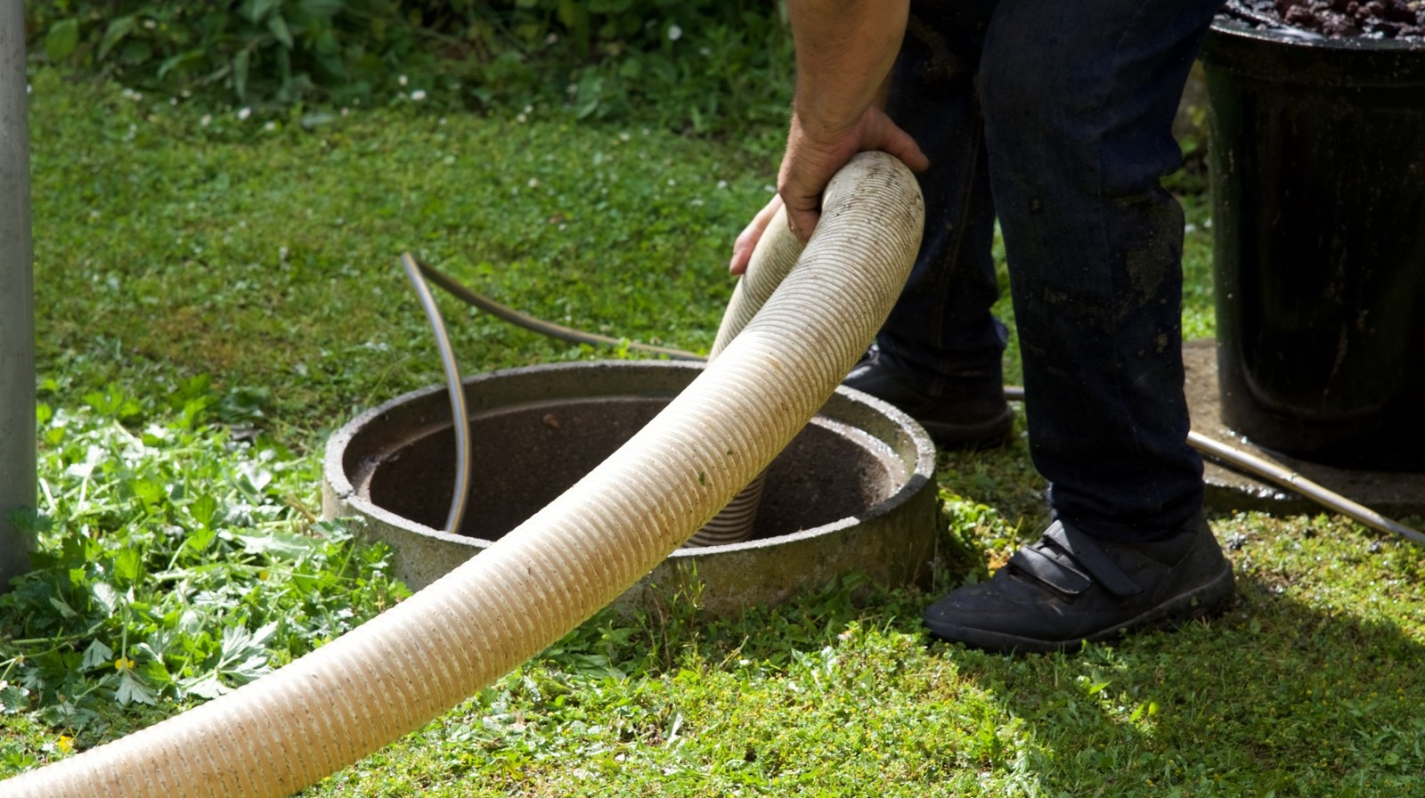 Signs You Need Your Septic Tank Pumped