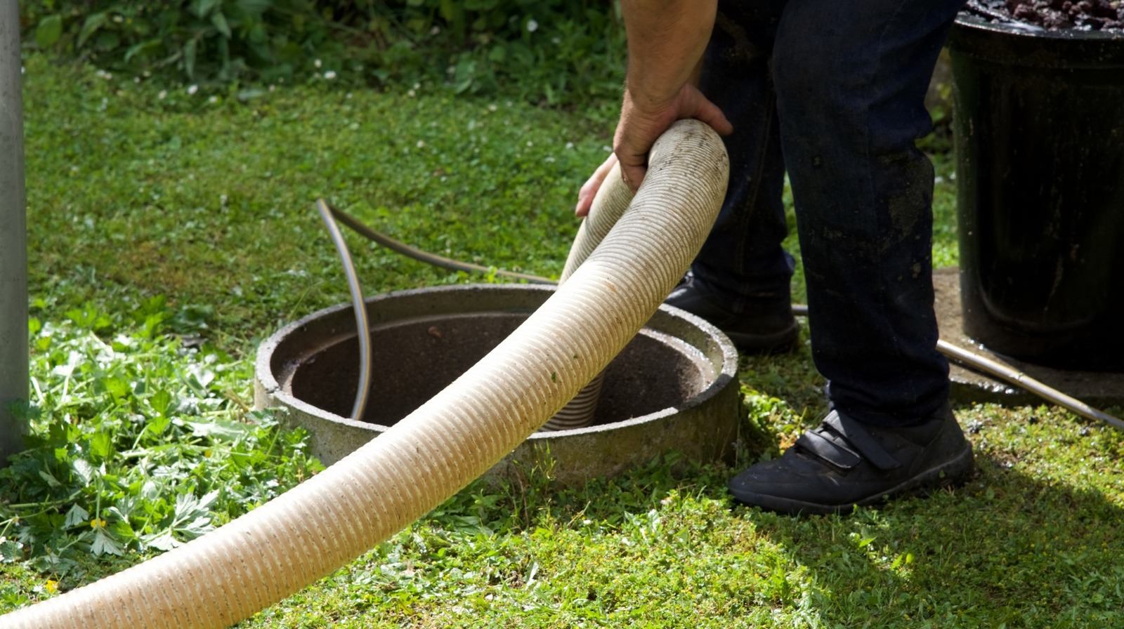 Signs You Need Your Septic Tank Pumped Best Plumbers News
