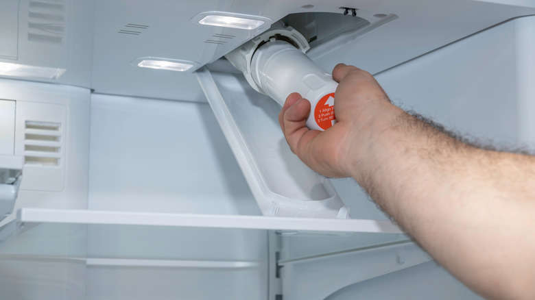 Hand changing fridge water filter