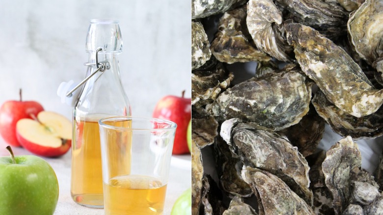 A split screen photo of a bottle and cup of apple cider vinegar and oyster shells.