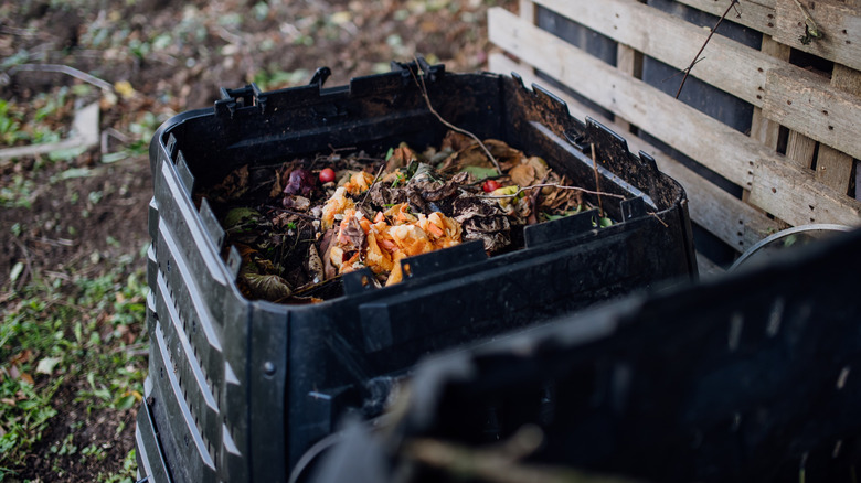 Coffee grounds with yard waste in a composting bin.