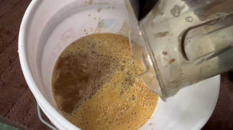 A blended fish emulsion being poured into water in a bucket.