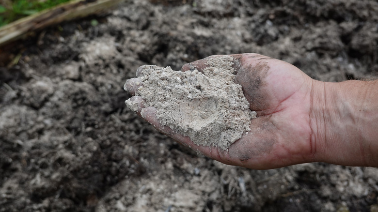 A hand holding ash above a composting pile.