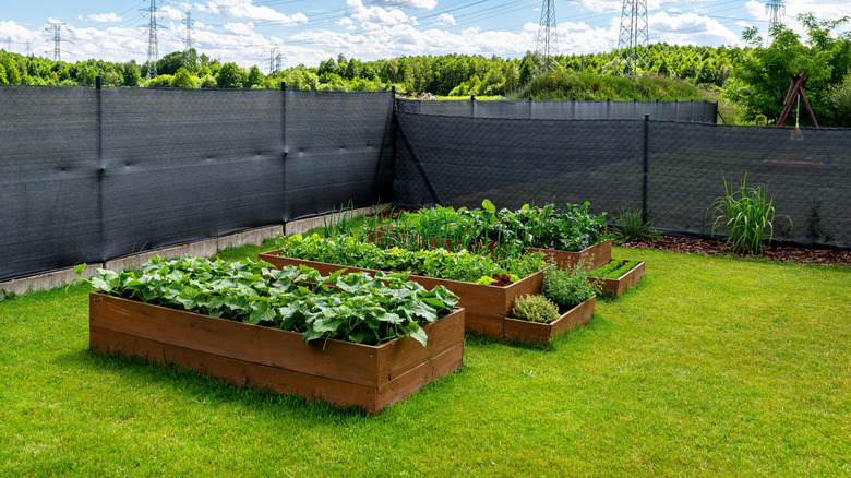 A yard with a mesh fence