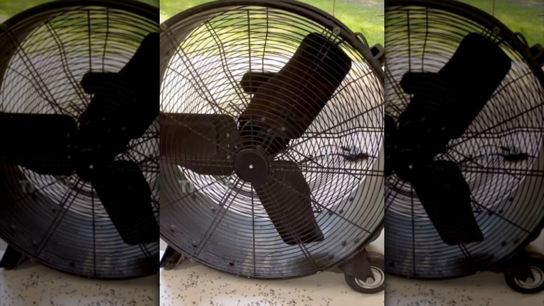 DIY mosquito trap using a fan and screen netting