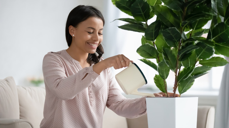 A woman tends to her many plants