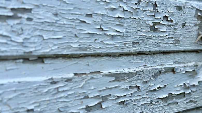Old paint often contains lead
