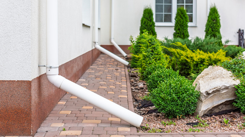 Close up of white PVC downspouts in garden