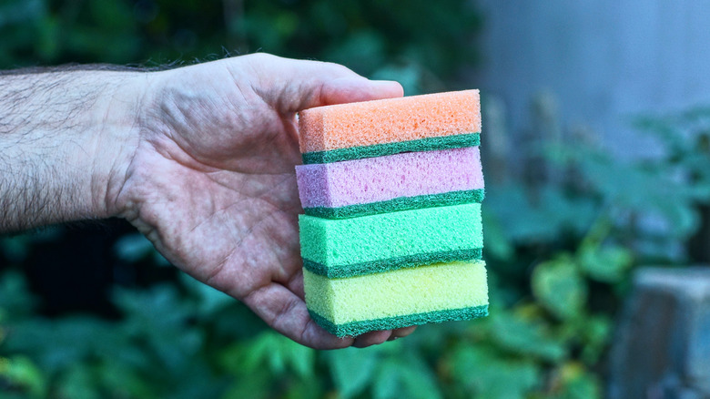 Close up of person's hand holding a stack of kitchen sponges