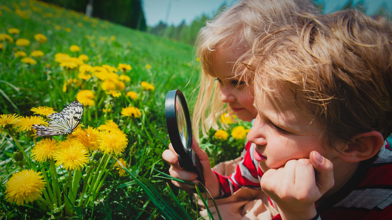 Kids looking at a butterfly 