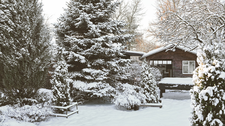 A garden covered in heavy snow 