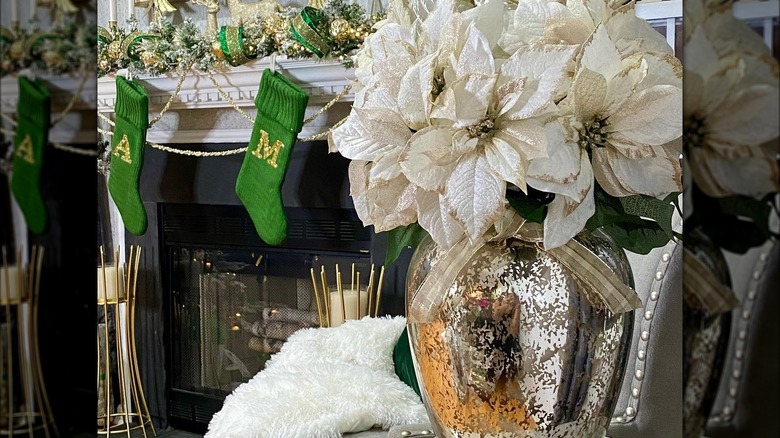 White and gold poinsettias