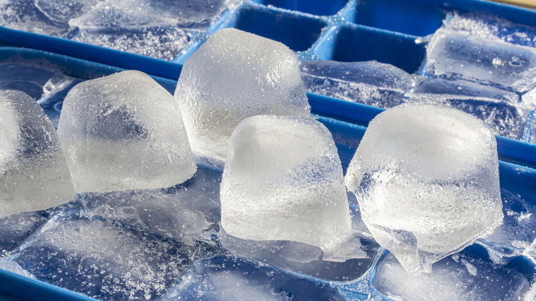 Ice cubes sitting on an ice tray