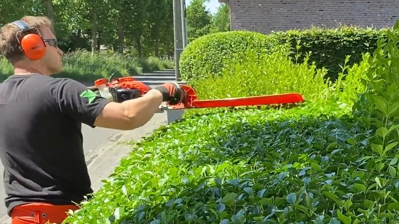 Man using a single-sided blade trimmer