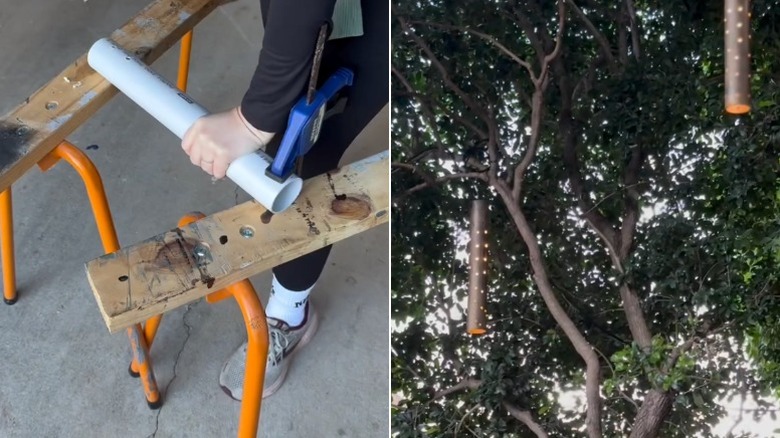 DIY lantern-style outdoor lights hanging from a tree in a backyard.