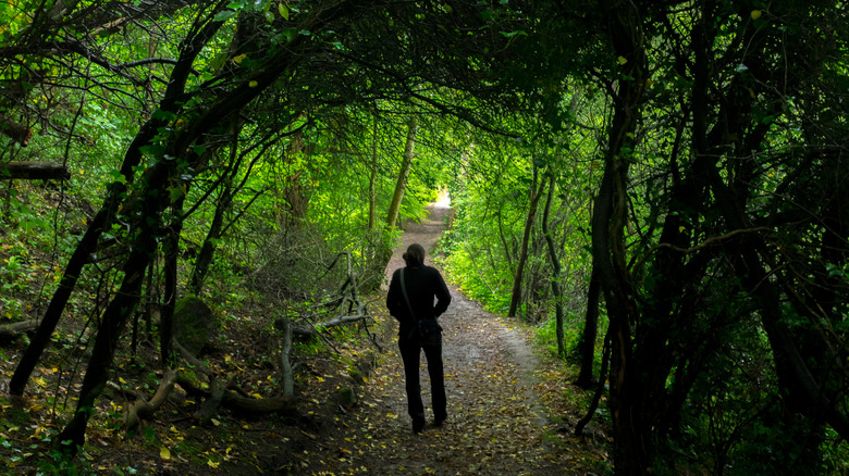 A person walks down a dark garden path that doesn't have any lighting.