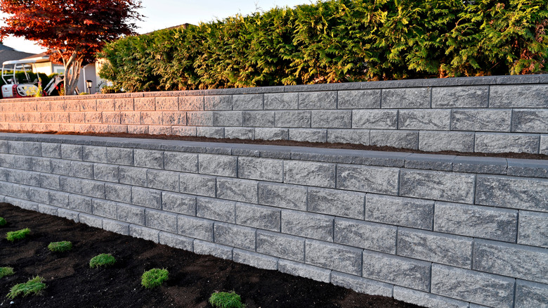 A concrete block retaining wall with a tree and plants in the background photographed during golden hour