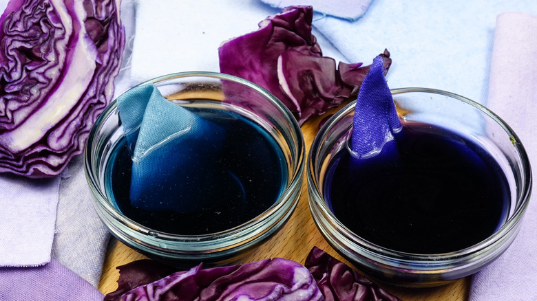 Fabric pieces soaking in red cabbage dye