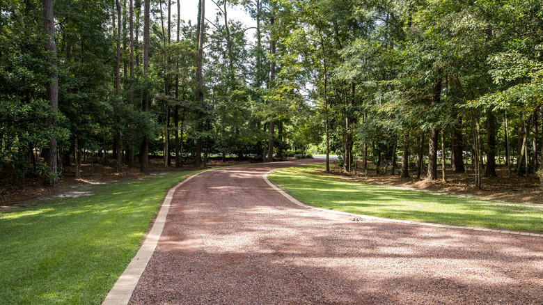 A long red chip and tar driveway weaves into the trees towards the road ahead.