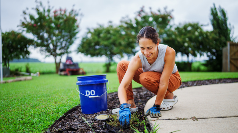 Woman squatting on edge of driveway, pulling weeds from a strip of mulch