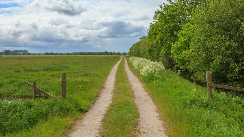 Long dirt driveway leading past a weathered wood fence and treeline.