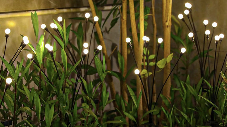 Solar garden lights among plants at night