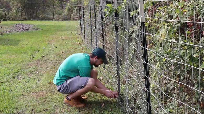 A man builds a wire fence in his backyard.
