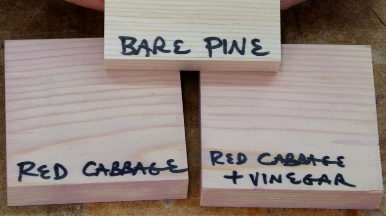 Three labeled wood samples, including bare pine, red cabbage stain, and red cabbage with vinegar stain.