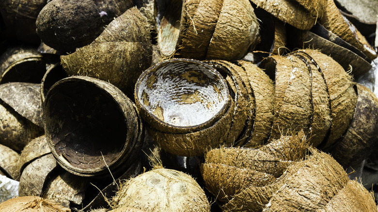 Group of emptied coconut shells