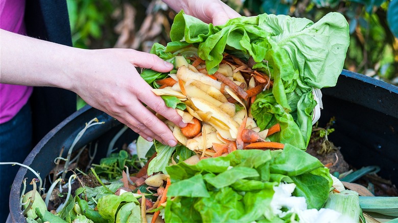 A person adds kitchen scraps into a compost bin.
