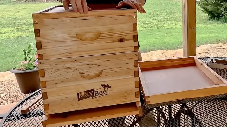 An assembled wooden MayBee beehive with a man's hands resting on top
