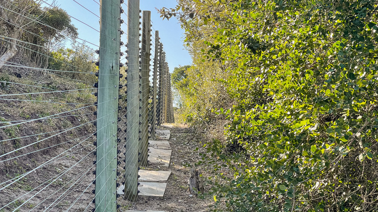 Electric fence outside a home