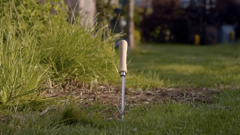 A Sneeboer wrotter garden tool with the tip embedded into the lawn at an angle.
