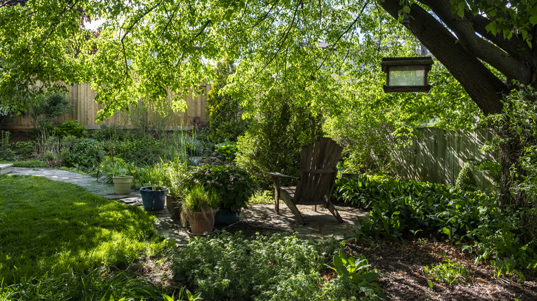 A corner of a backyard with plants shaded by a large tree.